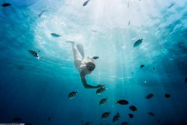 体育项目创意设计类比赛有哪些(图1)